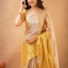 Tissue Cotton Half/Half Saree - Image 4